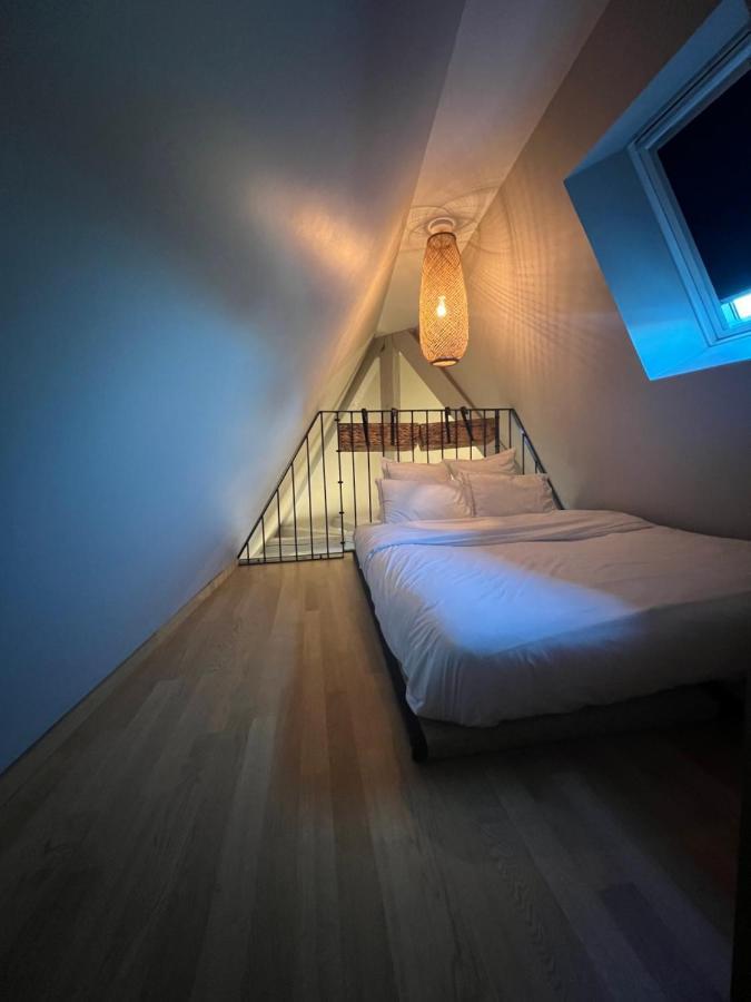 Apartament Duplex Atypique Au Coeur De Miluza Zewnętrze zdjęcie